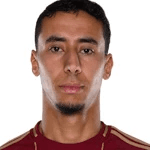 A. Salah-Eddine portrait