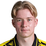 D. Svensson portrait