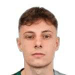 B. Beganović portrait