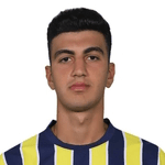 Y. Demir portrait