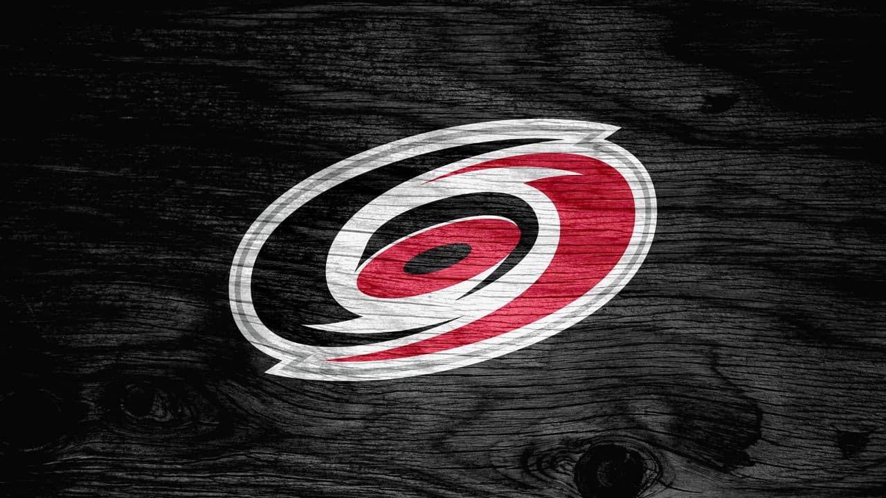 Carolina Hurricanes fanart