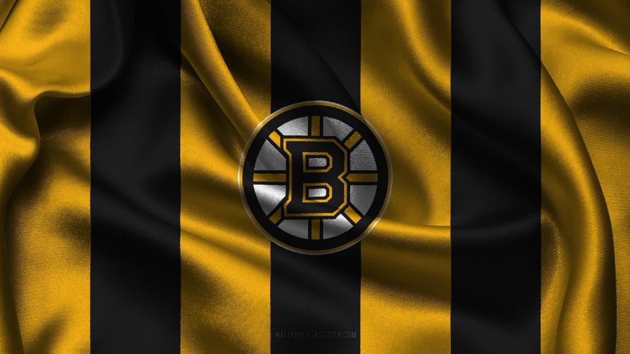 Boston Bruins fanart 2