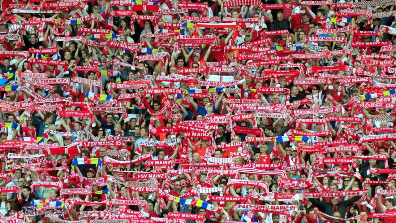 FSV Mainz 05 fanart 3