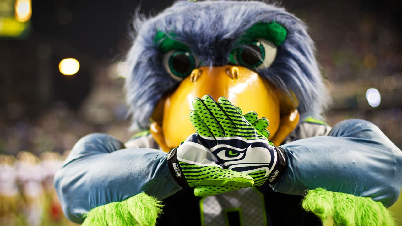 Seattle Seahawks fanart 4