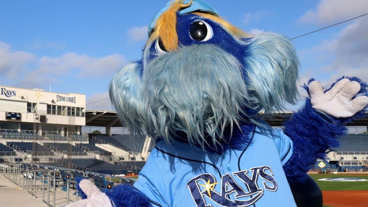 Tampa Bay Rays fanart 4