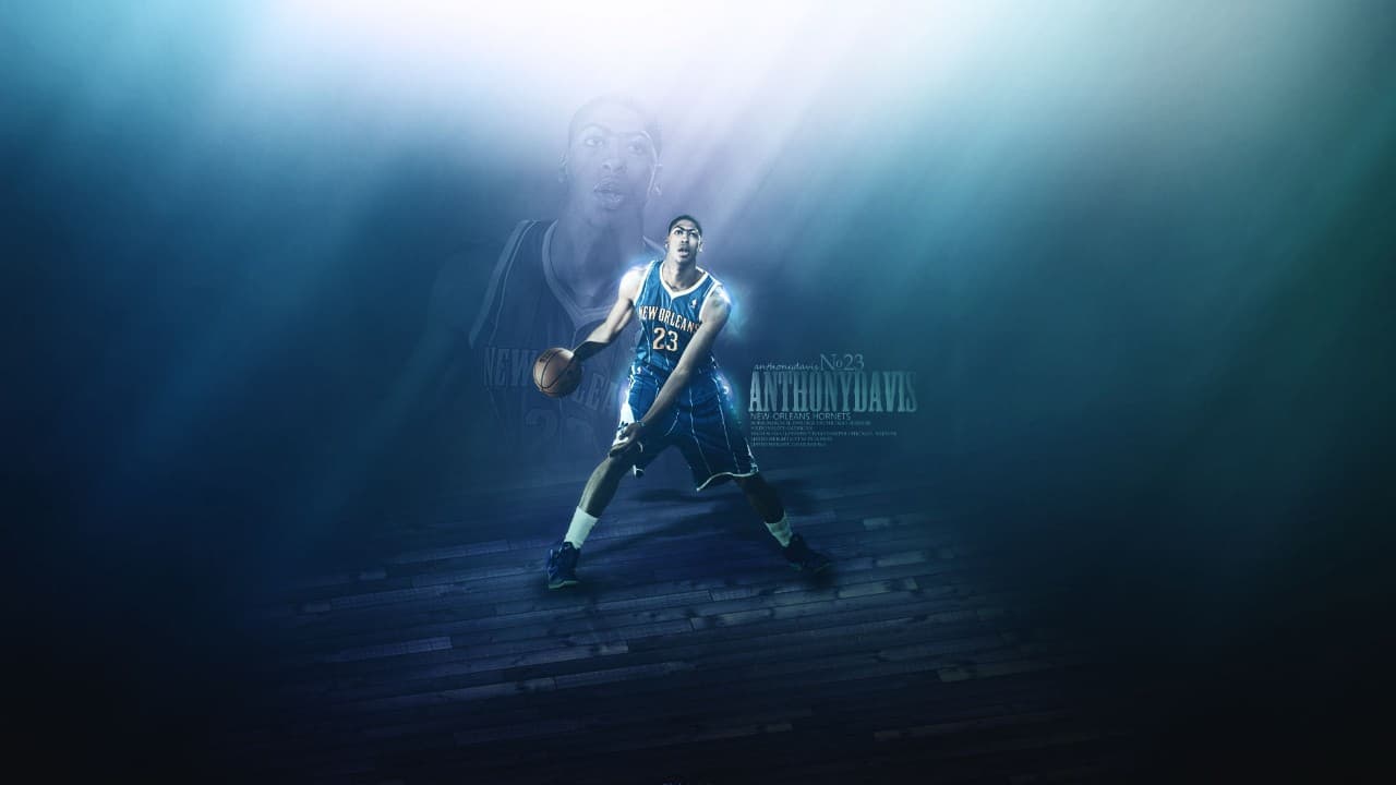 New Orleans Pelicans fanart 3