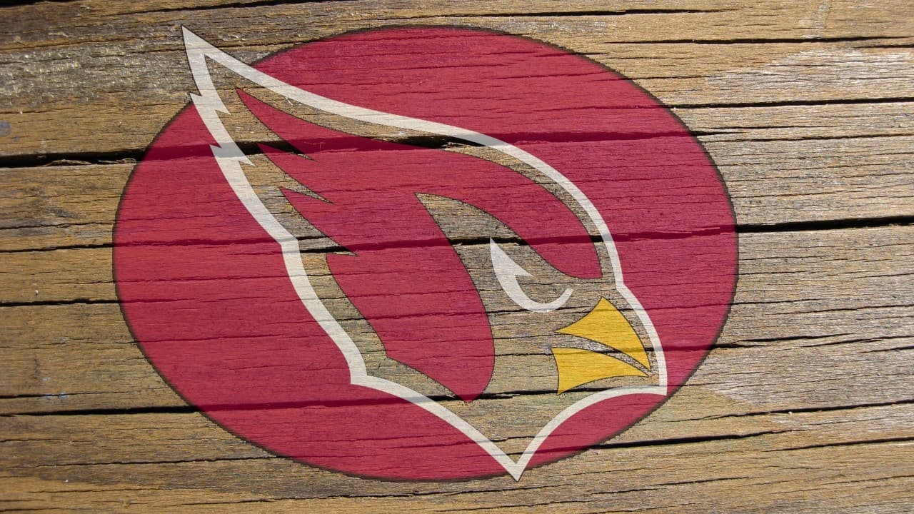 Arizona Cardinals fanart