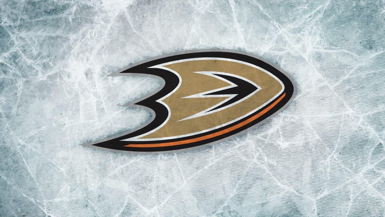 Anaheim Ducks fanart