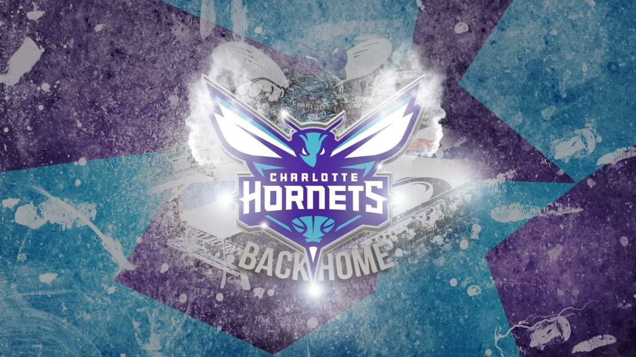 Charlotte Hornets fanart
