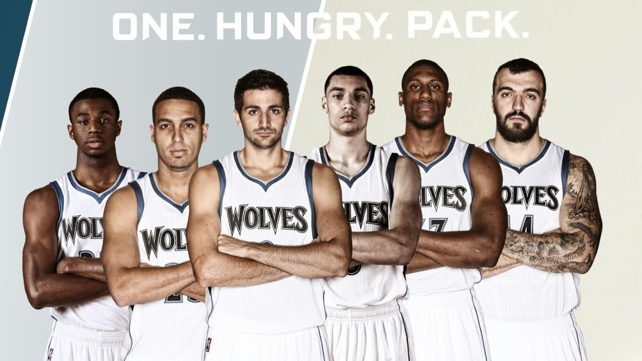 Minnesota Timberwolves fanart 3
