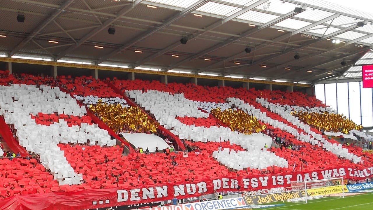 FSV Mainz 05 fanart 4