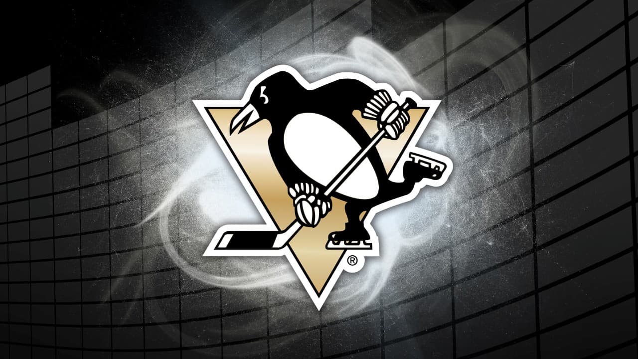 Pittsburgh Penguins fanart