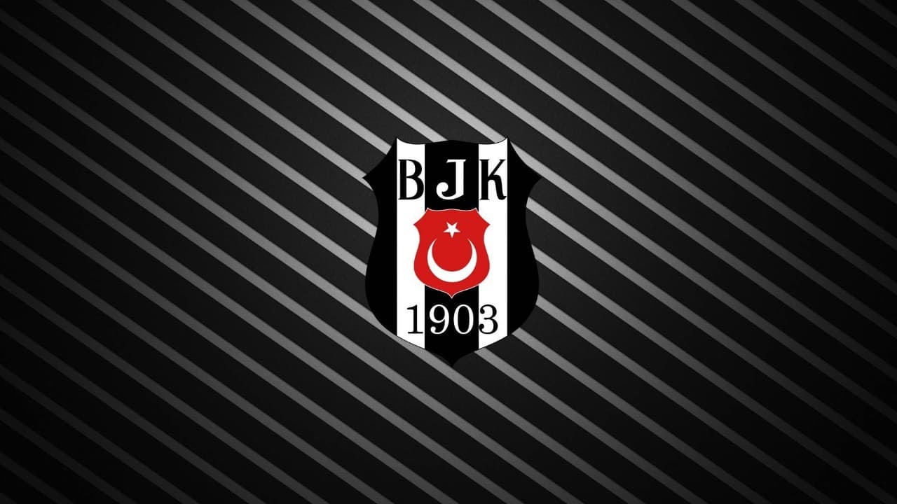 Beşiktaş fanart 2