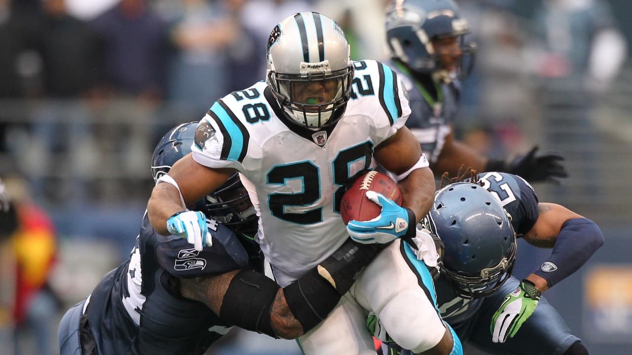 Carolina Panthers fanart 3