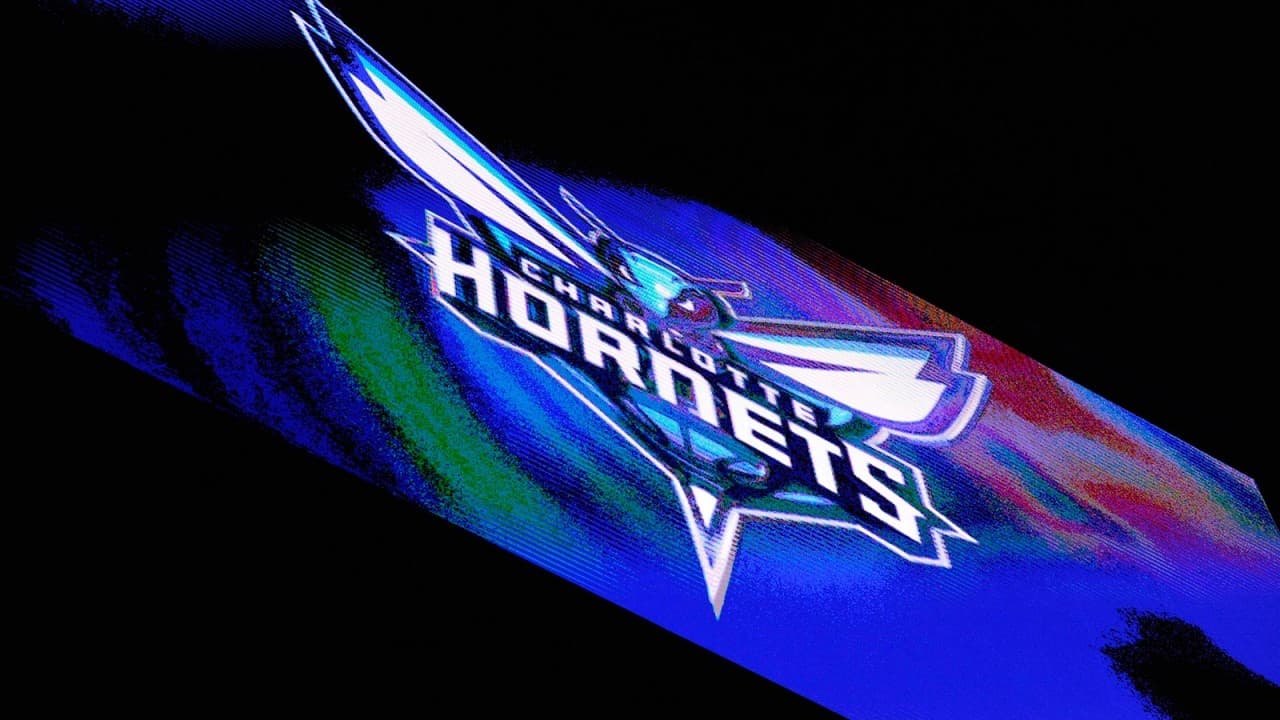 Charlotte Hornets fanart 2