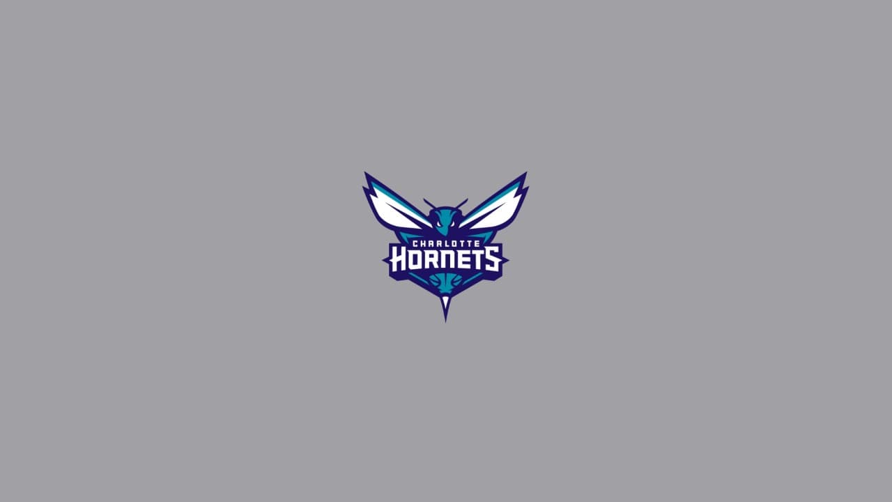 Charlotte Hornets fanart 3