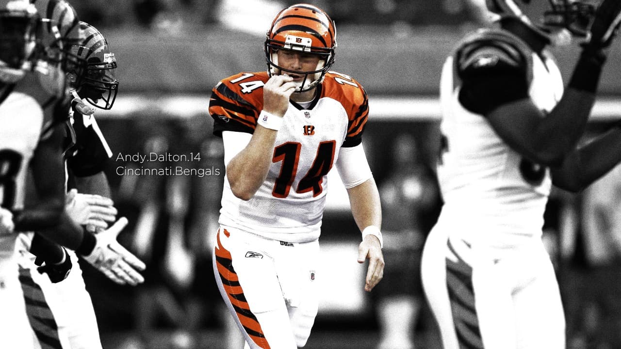 Cincinnati Bengals fanart 3