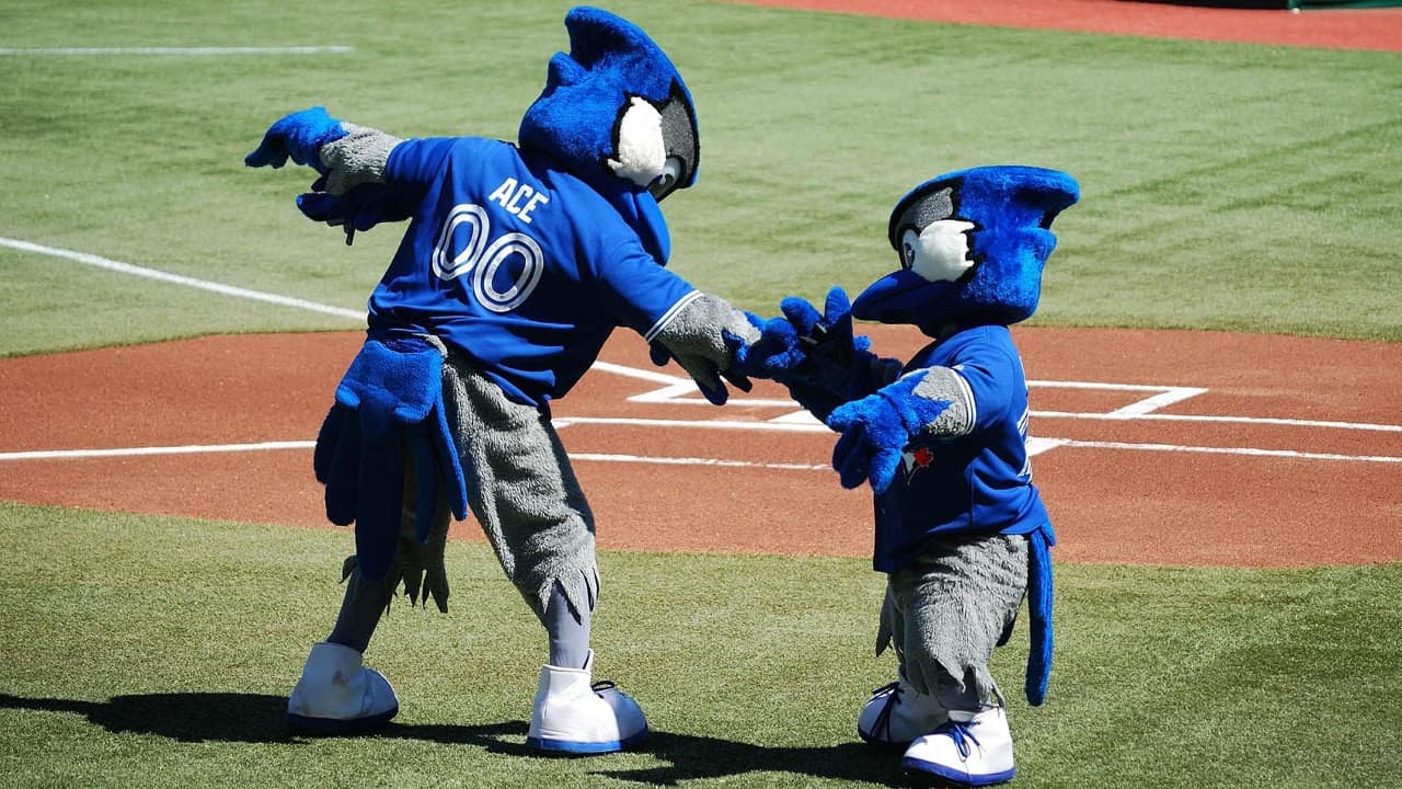 Toronto Blue Jays fanart 4