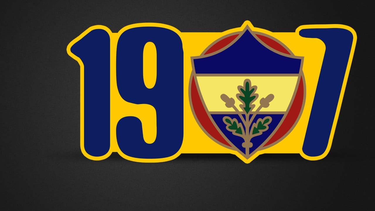 Fenerbahçe fanart