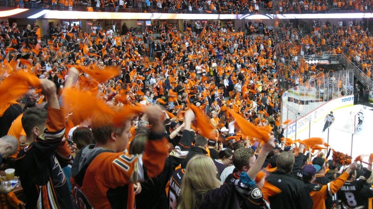 Anaheim Ducks fanart 4