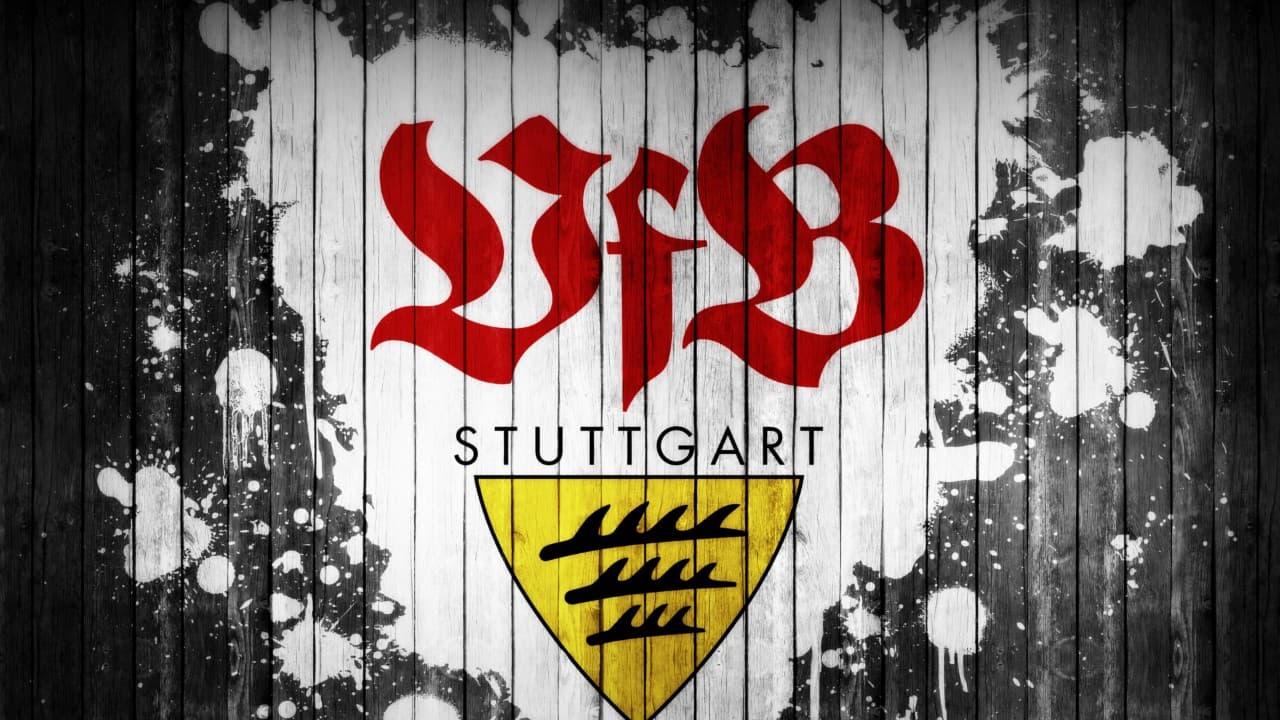 VfB Stuttgart fanart