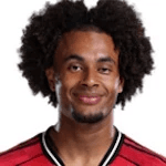 J. Zirkzee portrait