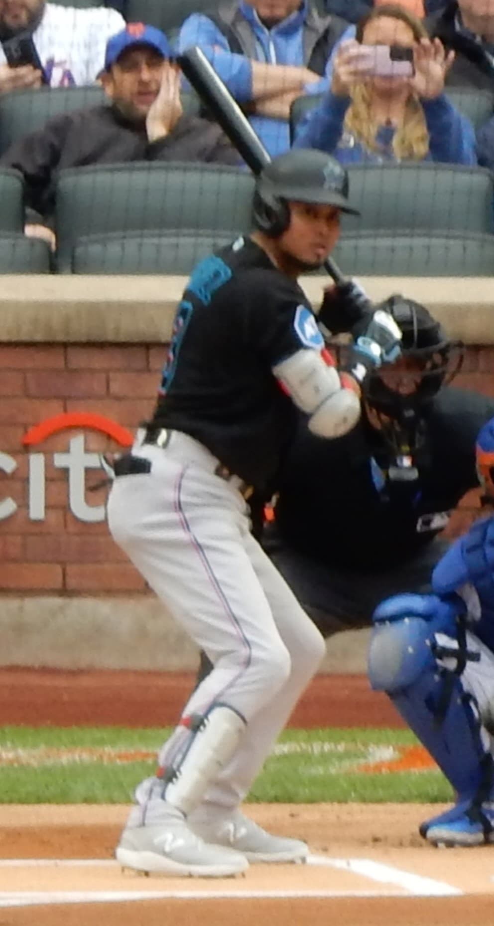 Luis Arraez portrait